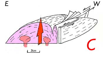 Drawing of model 2 of dome formation