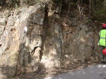 Photo of the outcrop at location 1