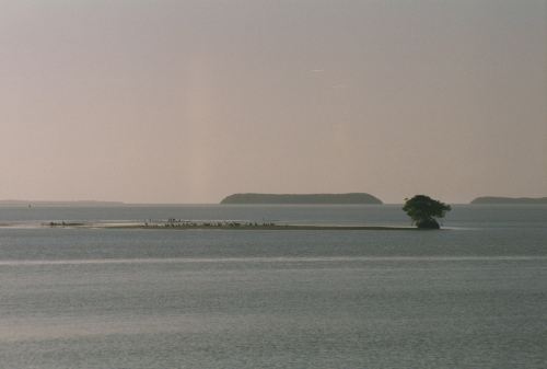 Florida Bay from Flamingo