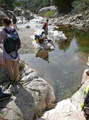Photo of the stream where the augens are first seen