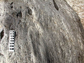 gneiss without pronounced banding