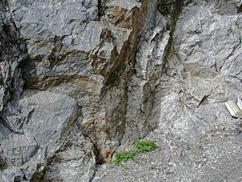 Gen view of augenitic rock