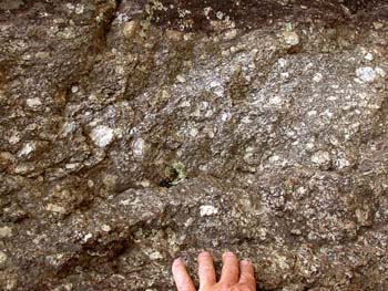 Photo of rock with disordered  lineations