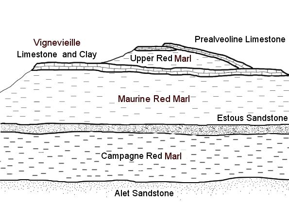stratigraphic cross section