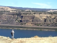 Columbia River Basalts