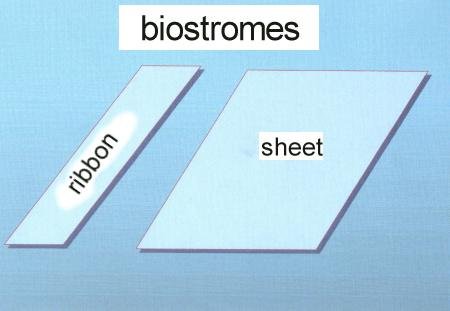 biostrome shapes - 20 Kb