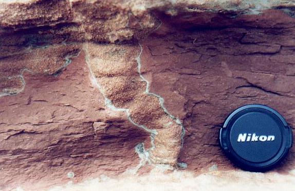Desiccation crack infilled with sediment.