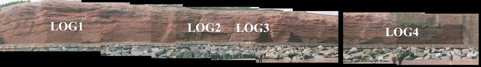 Panoramic view of the outcrop with logs marked on for reference.