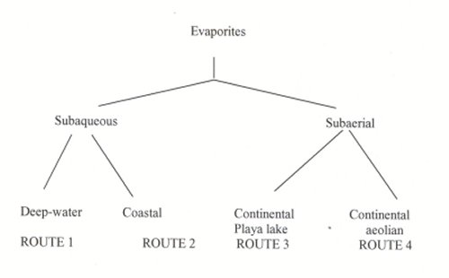 flow diagram displaying routes of evaporite environments that can be taken