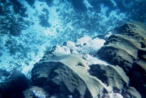 reef and inter-reef sediment