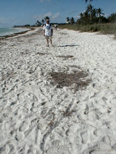 Bahia Honda beach