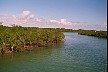 channel through mangroves